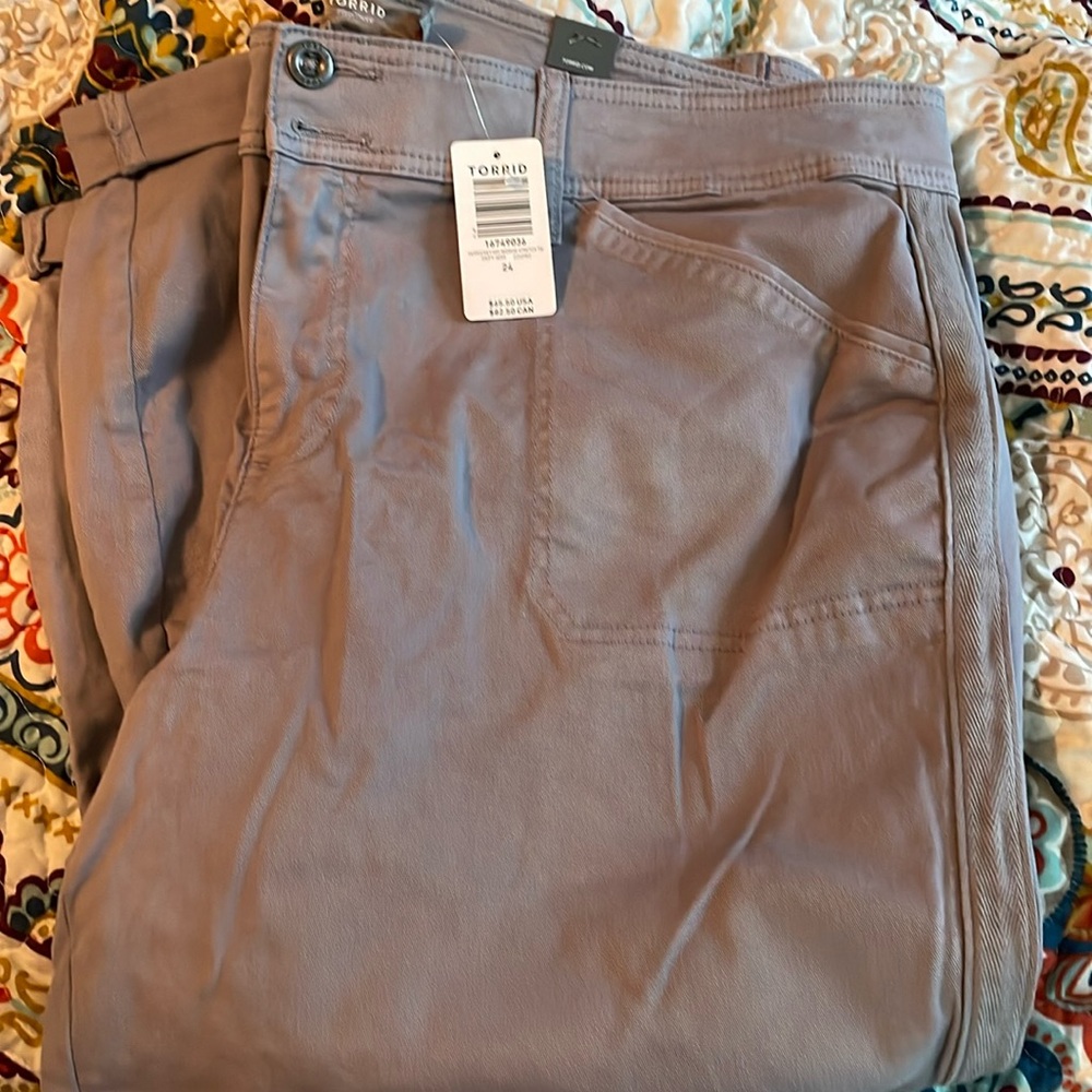 Torrid grey pants